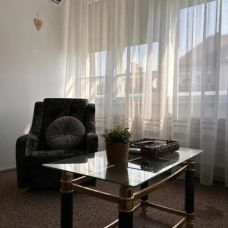 Cozy In The Centre Next To Dom Square Apartment Szeged